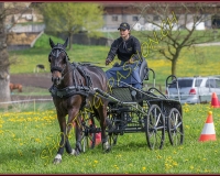 1POSIEUX 0467